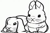 Bunnies Lapin Mignon Rabbits Trop Coloringtop Lop Cartoons Bébé 123dessins sketch template