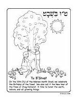 Tu Coloring Shevat Sameach Shvat Hebrew Projects Jewish Pages Resource Resources Center Find Original sketch template