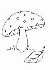 Funghi Mushroom Hongos Pianetabambini Stampare Template Indiaparenting Disegnare Champignon sketch template