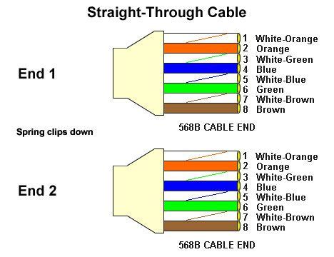 cat  wiring diagram printable