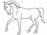 Sketsa Hewan Berkaki Empat Mewarnai Kuda Binatang Colorir Kartun Dua Shets Cavalo Kumpulan Brainly sketch template