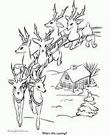 Reindeer Santa Rentier Ausmalbild Rudolph Everfreecoloring Flight sketch template