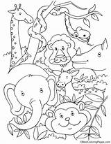 Rainforest Selva Bestcoloringpages Dschungeltiere Tiere sketch template