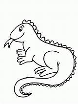 Iguana Coloring Pages Printable Kids sketch template