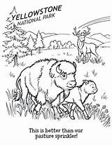 Coloring National Pages Park Yellowstone Printable Getcolorings Color Print sketch template