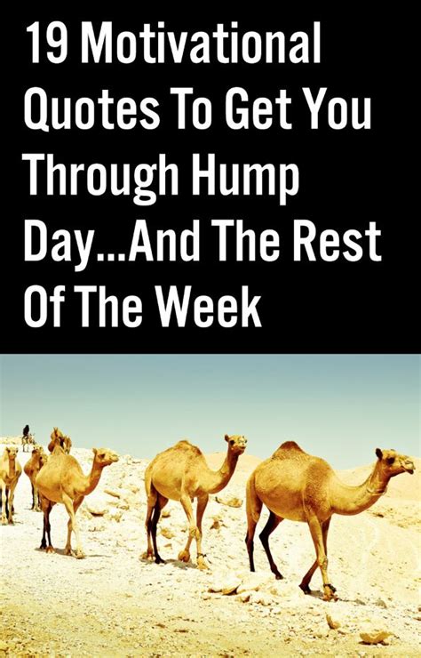 19 Motivational Quotes To Get You Through Hump Dayand The Rest Of The