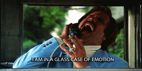 currently in a glass case of emotion on imgur