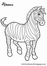 Coloring Pages Kids Zebra Printable Colouring Zoo Animal Animals Zebras Crafts Jungle Books Choose Board Print Fish Preschool Easy sketch template