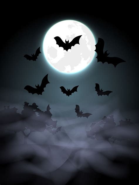 spooky halloween background  vector site   vector