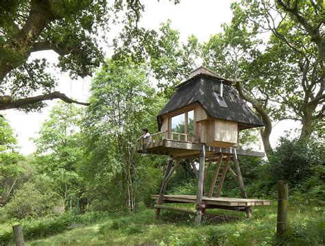 secluded timber cabin  stilts   creative escape  writers design  trust