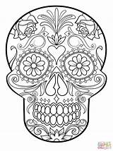 Coloring Skull Sugar Pages Printable sketch template