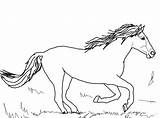 Caballo Corriendo Colorear Caballos Ausmalbild Kleurplaten Pferde Wildpferde Pferd Rennende Springende Kleurplaat Printen Puntos Zeichnen sketch template