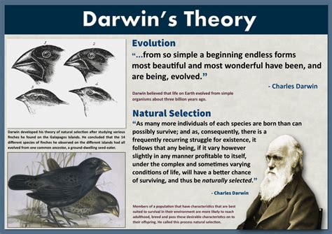 darwin  knew blog post auroras blog