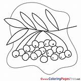 Colouring Rowan Printable Kids Coloring Pages Sheet Title sketch template