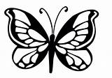 Vlinder Tekening Butterfly Sjabloon Silhouet Stencil Great sketch template