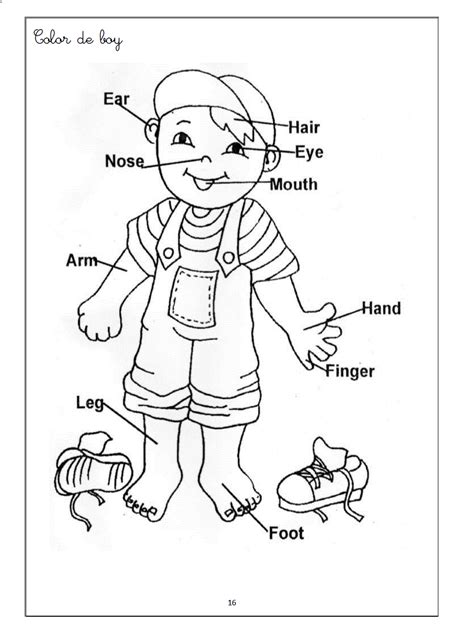 body parts coloring page printables quality coloring page coloring home