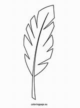Coloringpage Branches Plumas Feather Pascua Sabbath Artesanías Preescolares Infantiles sketch template