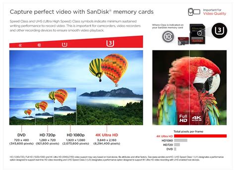 speed class  images perfect gif memory cards sandisk