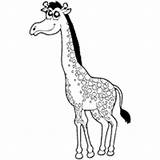 Giraffe Coloring Surfnetkids Pages sketch template