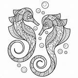 Coloring Seahorse Pages Adults Coloringbay sketch template