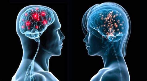 Brain Sex The Real Difference Between Men And Women