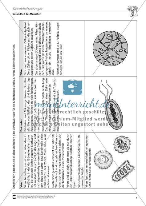krankheitserreger virus und bakterium meinunterricht