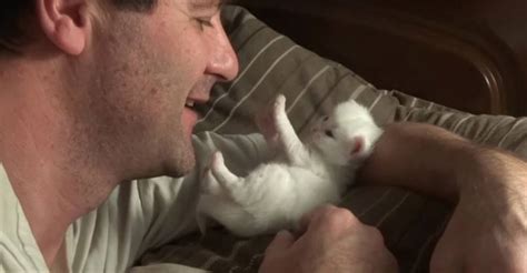 Itty Bitty Kitten Loves His Human Dad Very Much