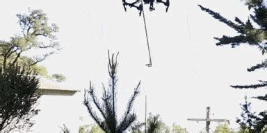 mythbuster jamie hyneman   prune  tree   quadcopter