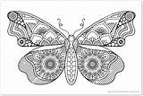 Butterfly Schmetterling sketch template