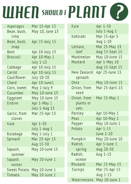 vegetable planting schedule