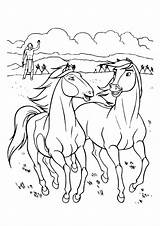 Coloring Coloriages Netflix Pferde Ausmalbild Kleurplaat Amoureuse Chevaux Dreamworks Paarden Gratuit Paard Raskrasil Justcolor Horses Klicke Craftwhack Malvorlagen Mustang Rain sketch template