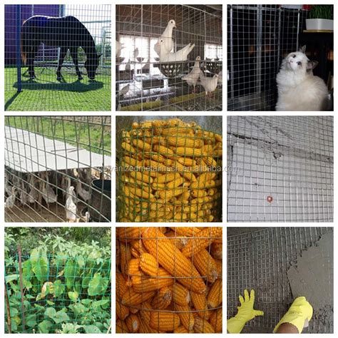 factory supply welded wire mesh panel cattle panels hog wire panels buy welded wire mesh panel