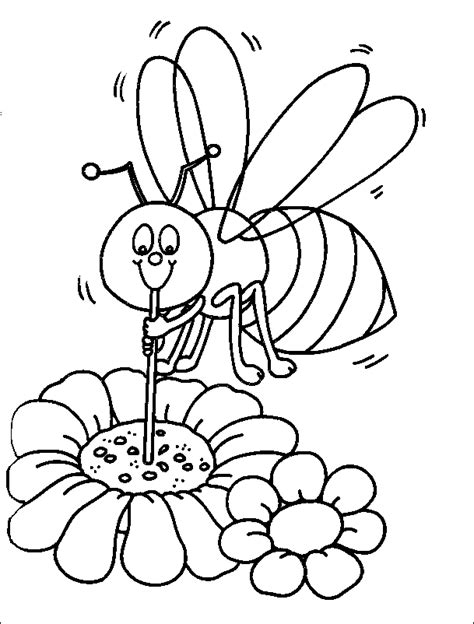 bee coloring page  honey lovers coloring home