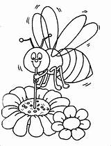 Coloring Bee Honey Pages Colouring Library Clipart sketch template