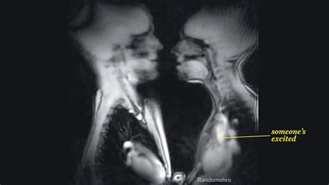 effiong eton let s have sex mri scanner captures intercourse like never seen before