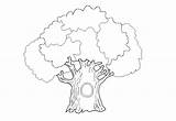 Drzewa Kolorowanki Przyroda Kolorowania Darmowe Drzewo Obrazki Pokolorowania Ugu sketch template