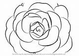 Draw Camellia Flower Drawing Step Flowers Exotic Tutorials Paintingvalley Drawings Tutorial Learn Camilia Drawingtutorials101 sketch template