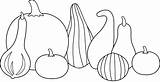 Gourds Line Thanksgiving Clipart Clip Coloring Gourd Pages Template Pumpkin Pumpkins Templates Harvest Lineart Colorable Sweetclipart Clipground sketch template