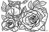 Colorear Roses Stampare Supercoloring Raskrasil sketch template