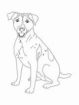 Russell Terrier Printable sketch template