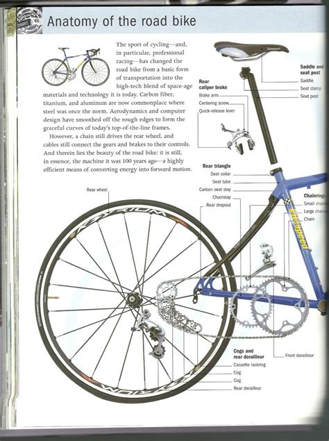 find  diagram    parts   mountain bike mtb