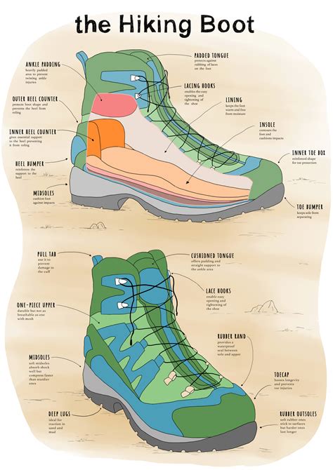 boot anatomy claire rollet illustrator