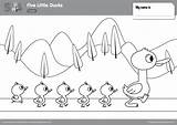 Ducks Little Five Coloring Worksheet Pages Color sketch template