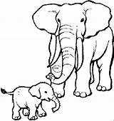 Elephants Kids Coloring Pages Fun Olifant sketch template