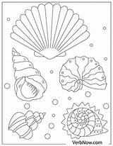 Shells Bucket sketch template