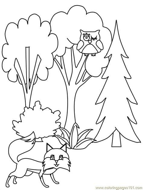 simple pine tree coloring page pictures tyjog
