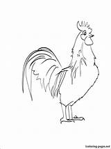 Cock Coloring Pages Color Animals Birds Loves Others Site sketch template