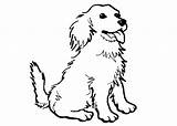 Puppy Dog Coloring Cartoon Colouring Pages Dgd Pag sketch template