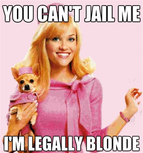 57 weird blonde memes funny memes