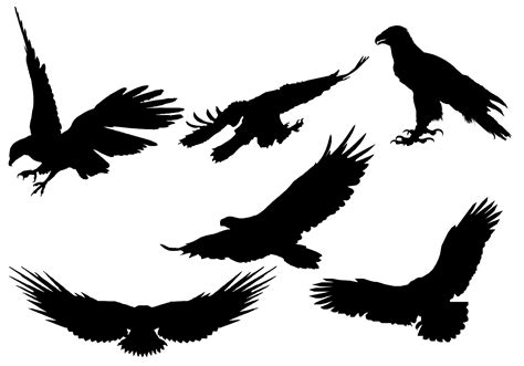 eagle silhouette vector   vector art stock graphics images